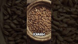Стол древних славян. Часть первая. Злаки и хлеб. #славяне #славянскаякультура
