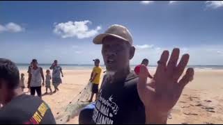 Download Lagu Huge school of fish caught MP3