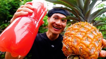 LÀM NƯỚC NGỌT CÓ GA TỪ QUẢ DỨA - KaTu Nguyễn