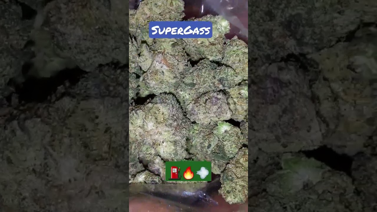 Late Night Smoking Session😤💨💨💨 