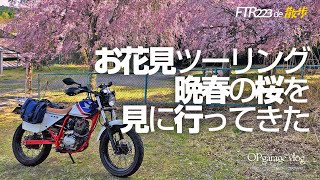 #18 FTR223 de 散歩 [ お花見ツーリング 晩春の桜を見に行ってきた ]