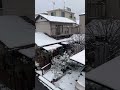 2026 FREEZING DAY#snow #freezing #shortsfeed #shorts #viralvideo