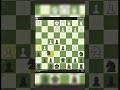 Jour 7 | Propre et précis #supermax_off #chess #echecs #strategy #checkmate