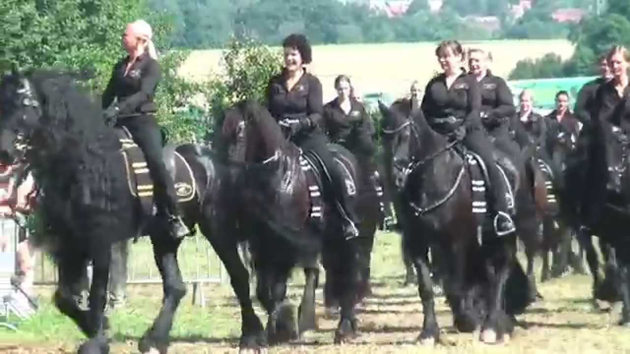 PferdeStark 2015, Schloss Wendlinghausen: Friesen-Quadrille