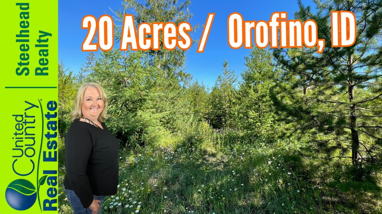 Idaho land for sale! 20 acres in Orofino, ID United Country / Steelhead