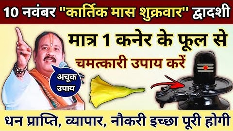 10 नवंबर कार्तिक मास शुक्रवार द्वादशी तिथि। कनेर के फूल से मनोकामना पूरी होगी #pradeepmishra #upay