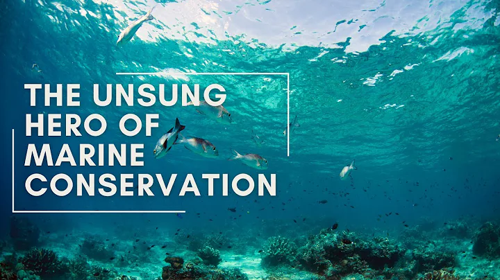 AI The Unsung Hero of Marine Conservation