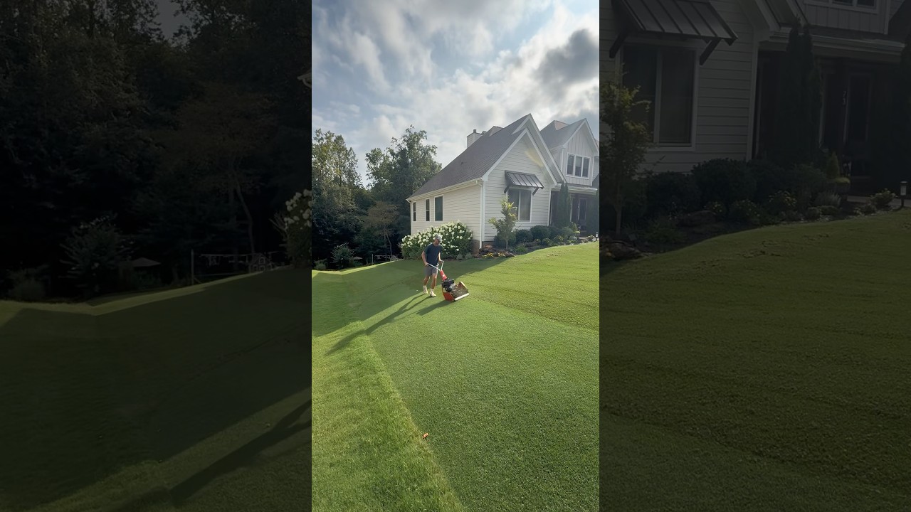 Verticutting my Bermuda ⛳️ 