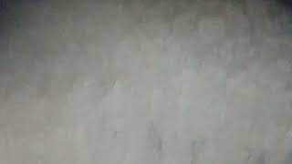 RojbiOfficial is live,tango hot live,Tango hot,imo call,imo hot,hot live vlog,hot Tango live,hot imo