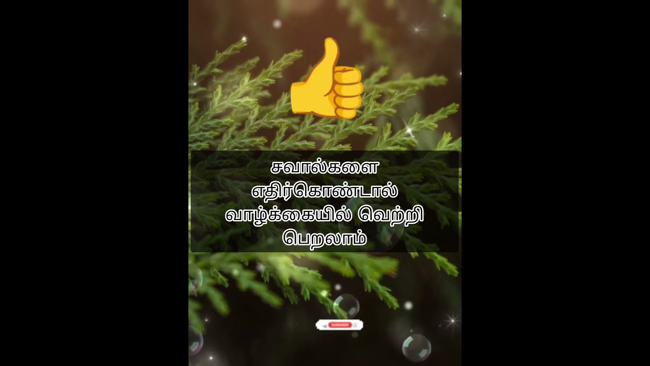 சவால்களை எதிர்கொண்டால் வாழ்க்கையில் வெற்றி பெறலாம் | Tamil Motivational short video whatsapp status