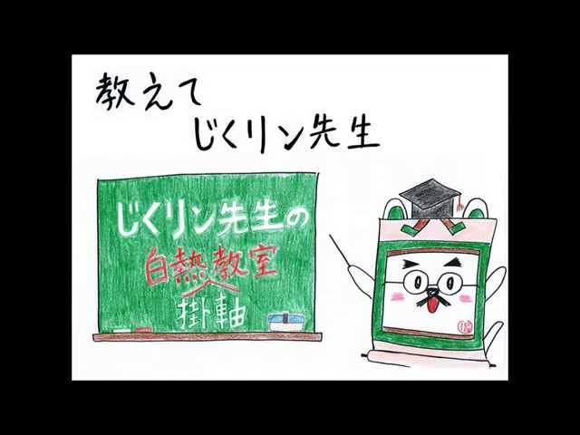 掛け軸の、掛け方 - YouTube