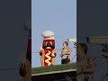 The things I’d do to catch a hot dog from the roof rn