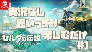 #1 ゼルダの伝説ティアーズオブザキングダム【実況なし/ティアキン】