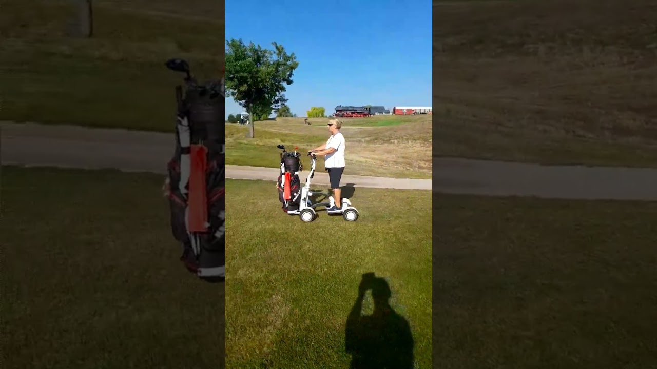 ESWING latest product M12-2, your golf cart