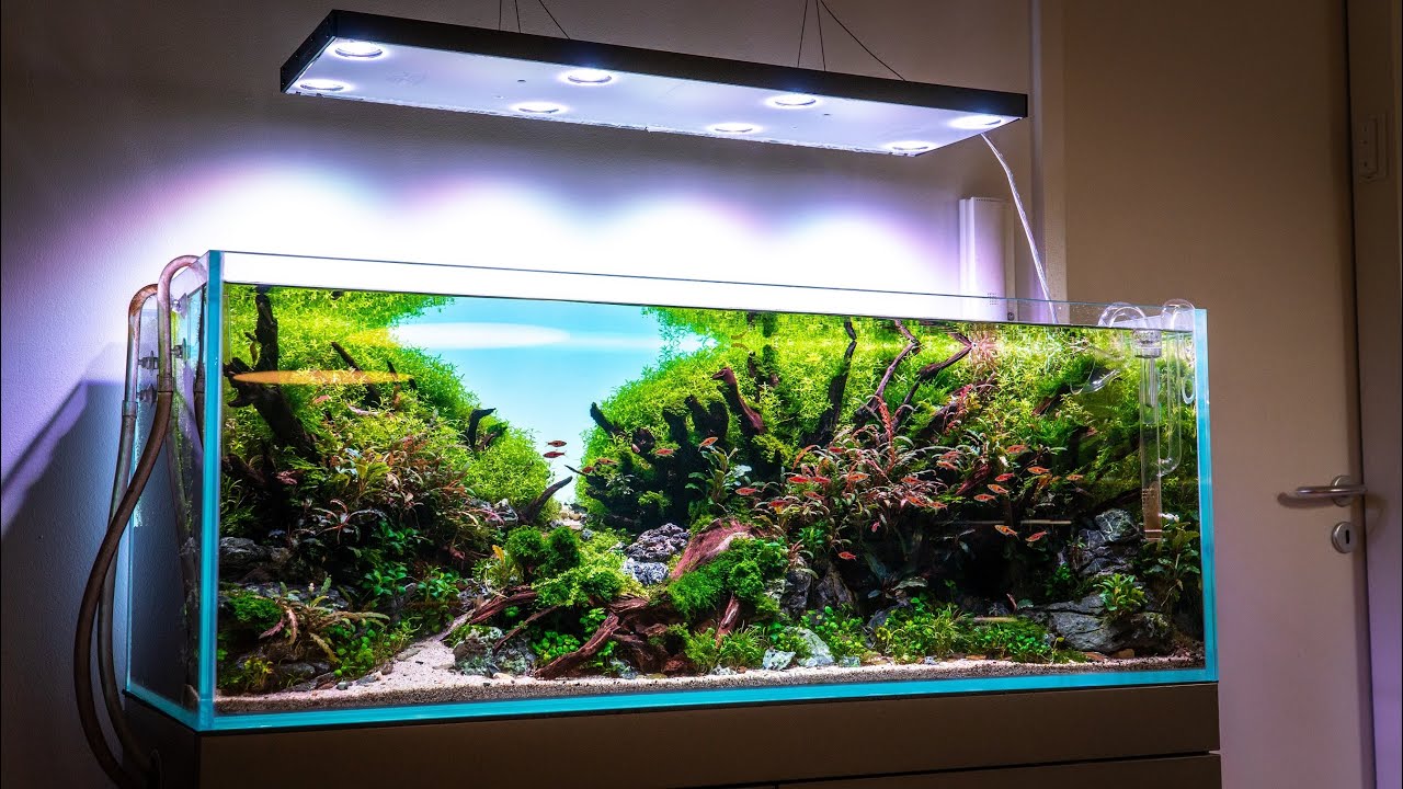 スカイライトジャパン::アクアリウム・パルダリウム・海水水槽用LED
