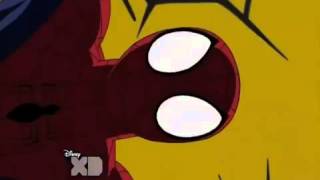 Ultimate spiderman monkey scream