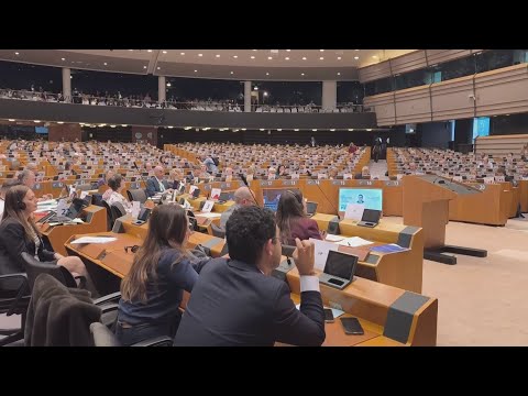 Rafforzare il mercato unico: unanimità su proposta Galligani