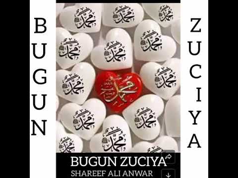 BUGUN ZUCIYA TA Daya Ne Zainab Yar Katsinawa Official Audio SHAREEF ALI ANWAR