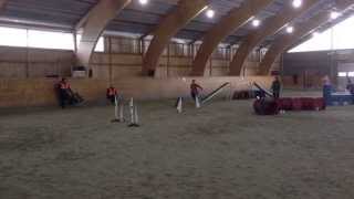 Doberman agility 2 in Tønsberg, Norway 2014