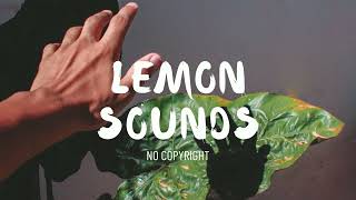 Song: SKANDR - Faith (Lemon Sounds – No Copyright)