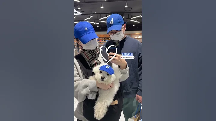 엄마빠랑 커플템💙  #mlb #모자 #비숑스타그램 #댕댕이 #강아지모자 #LA #동탄신도시