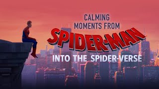 Spider-Man: Into The Spider-Verse | Calming Moments | Sony Animation