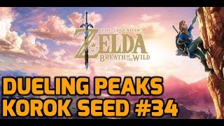 The Legend of Zelda Breath of the Wild - Dueling Peaks