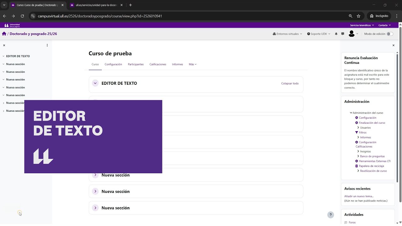 Moodle: Editor de texto