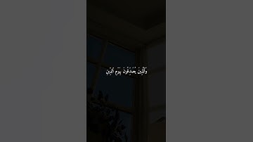 تلاوة خاشعة جميلة بصوت ماهر المعيقلي ارح سمعك ♡