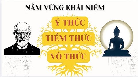 Ý  Thức - Tiềm Thức - Vô Thức: Hiểu Về Ba Mức Độ của Trí Não