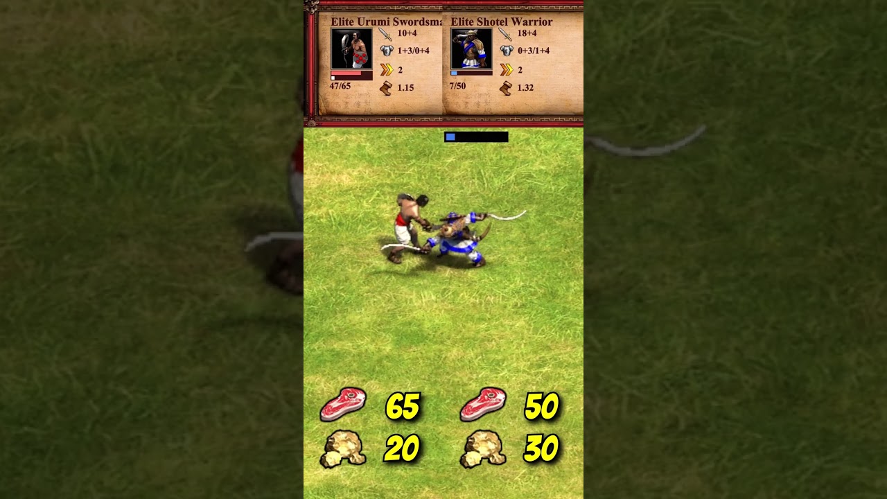 Elite Urumi Swordsman vs Elite Shotel Warrior (AoE2) 