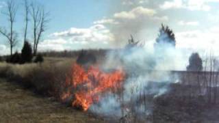 Monmouth Battlefield State Park Prescribed Burning Feb 2009