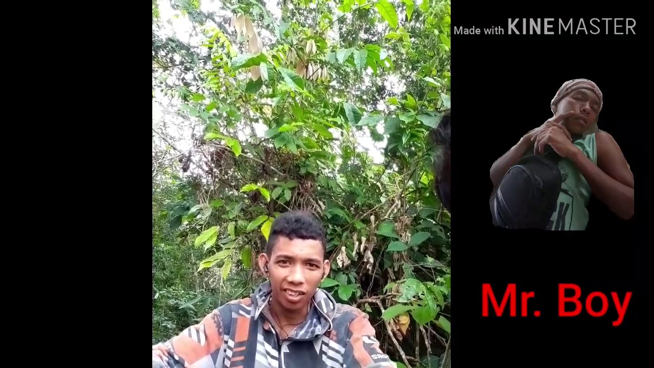 Warga kuansing ngaku2 orang flores 