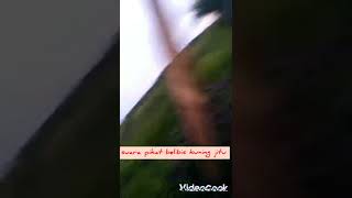 Download Lagu suara pikat belibis kuning jitu#chanel cah gemblong MP3