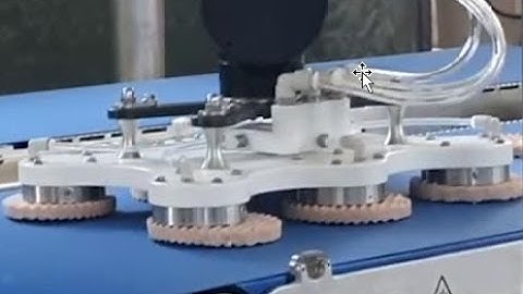 ELCAT Automated Burgers Loader