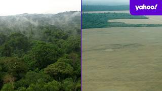 Major change that could turn Amazon rainforest into dried-out savannah | Yahoo News Australia