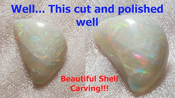 Opalised Mussel Shell Fossil Cut and Polish, Unexpectedly Beautiful!
