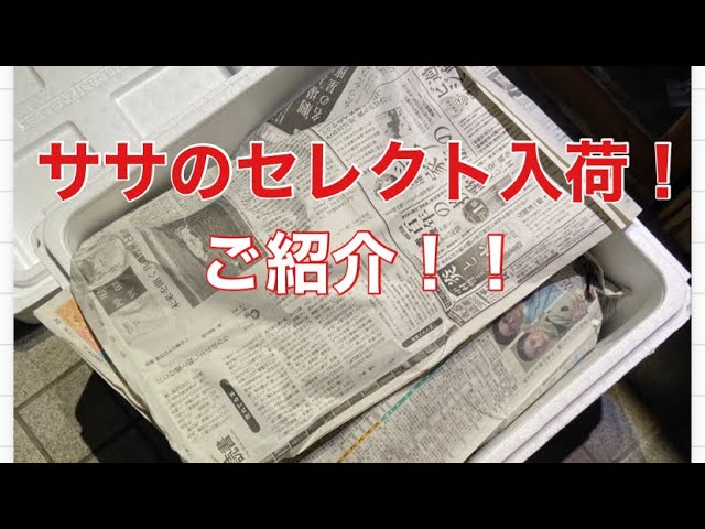水槽 taka tore Sasa's Select items have arrived! Let us introduce them! - YouTube