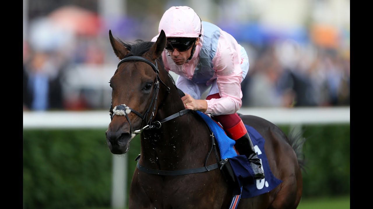 Too Darn Hot Champagne Stakes 18 Youtube