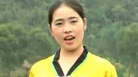 Hương rừng sắc núi Con Cuông