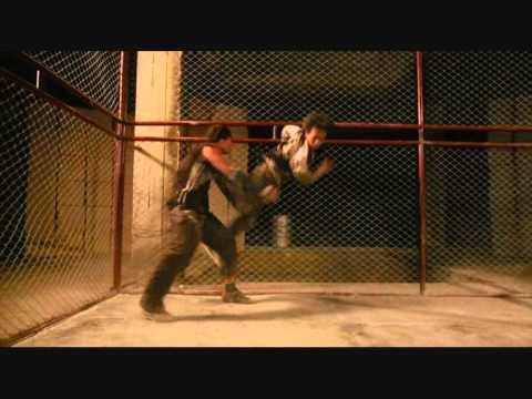 ¤¯ Streaming Online BKO: Bangkok Knockout