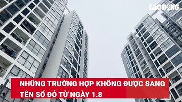 Những trường hợp không được sang tên sổ đỏ từ ngày 1.8 | Báo Lao Động