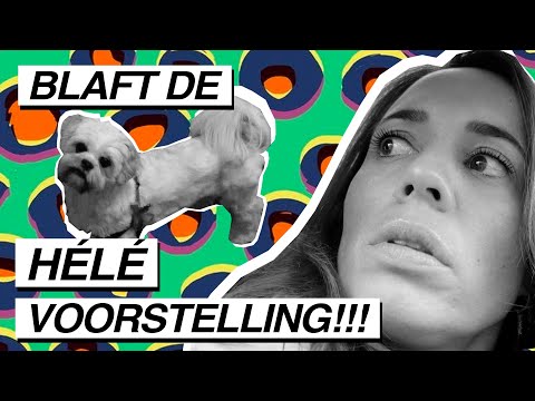 Video: Hoe Om 'n Kaartjie Terug Te Gee