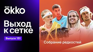 картинка: Выход к сетке. Подкаст #151 | Собрание редкостей