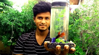 How to make Betta Fish Tank at Home? | செலவே இல்லாமல் Fish Tank செய்யலாம் வாங்க! | Vijay Ideas