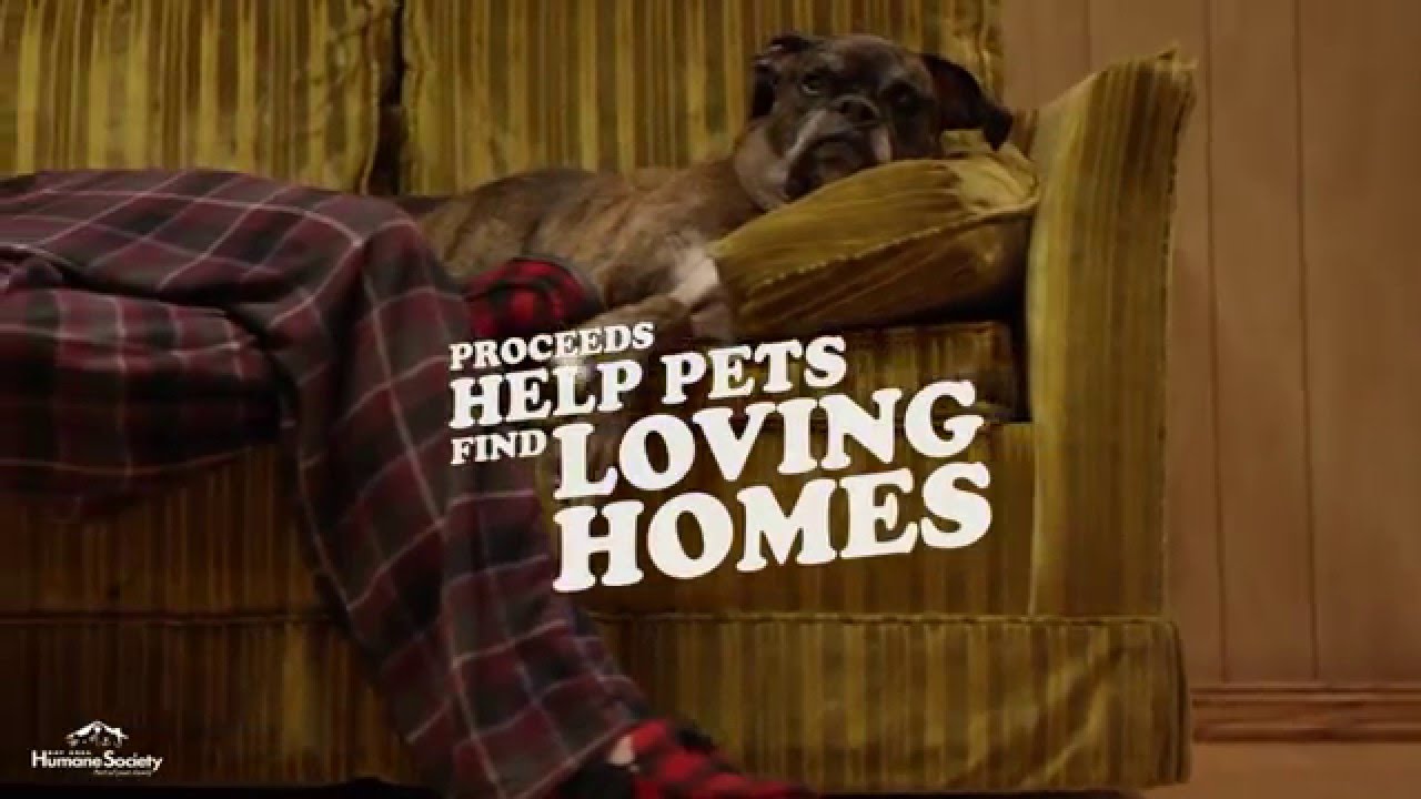 Bay Area Humane Society - Dogtoberfest