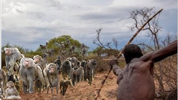 Hadzabe Tribe -The Life Of The Hunter Full Documentary/ African Life Style.