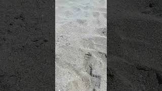 Beach Sea Tour Sunset Holiday Spain Malaga Costa Del Sol 4K Nature Best Beach.