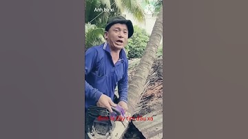 Chiêu thức cưa cây số 1 Việt Nam