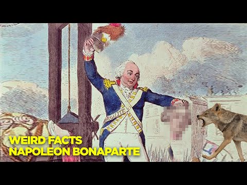 Weird Things You Didn&rsquo;t Know about Napoleon Bonaparte